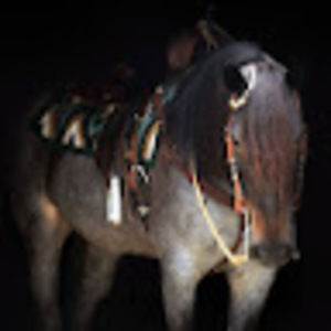 Meet your Posher, Peter